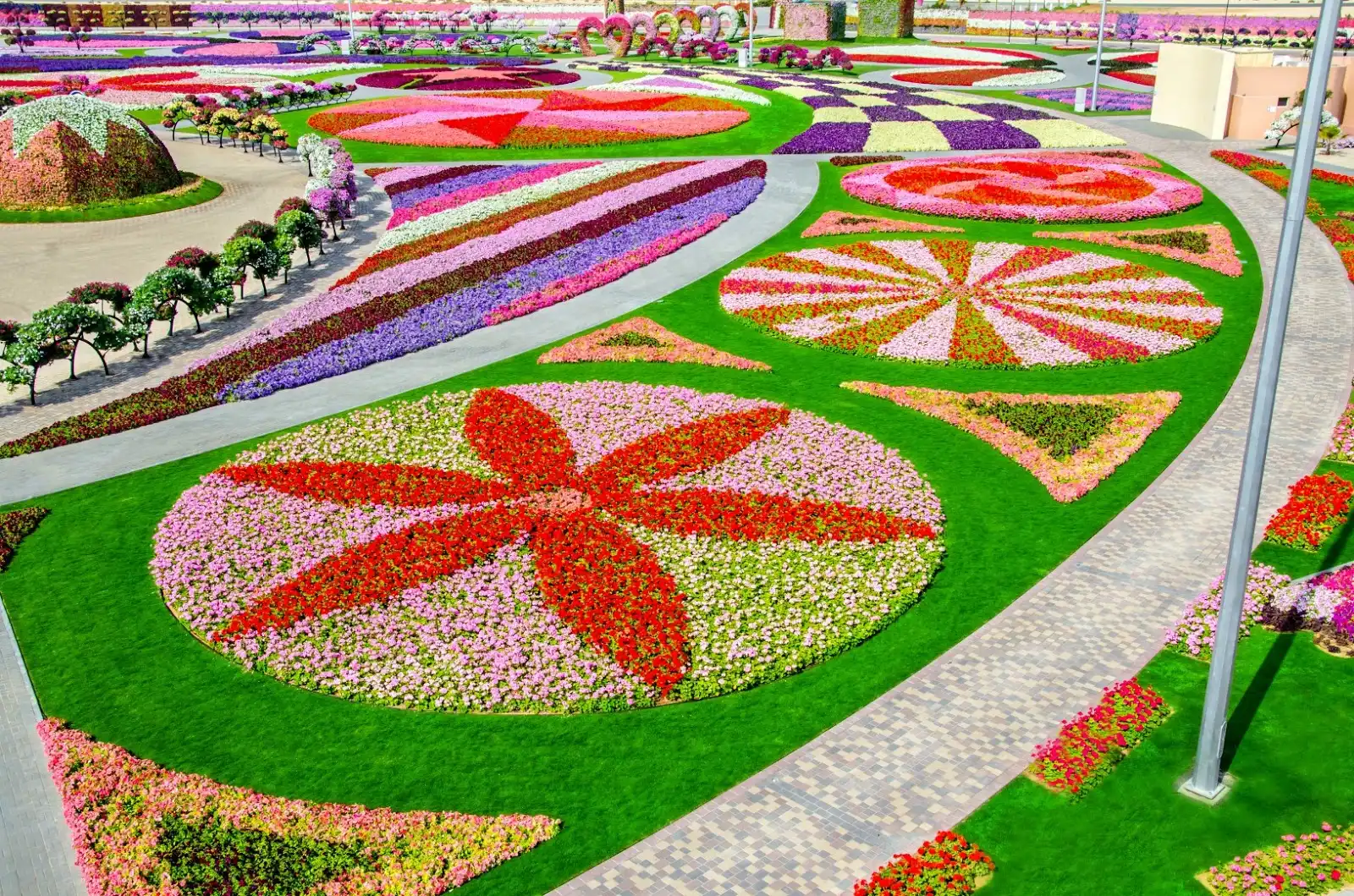 У Дубаї відкрився найбільший квітковий парк у світі - Dubai Miracle Garden