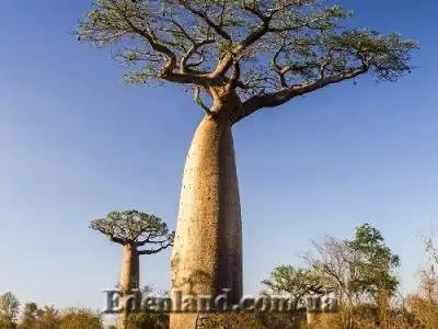 Первое поступление продукции в новом году! Февраль 2020