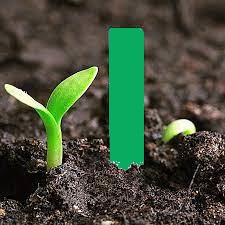 Изображение Табличка для подписи рассады зеленая