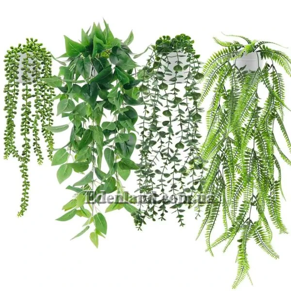 Ампельные растения