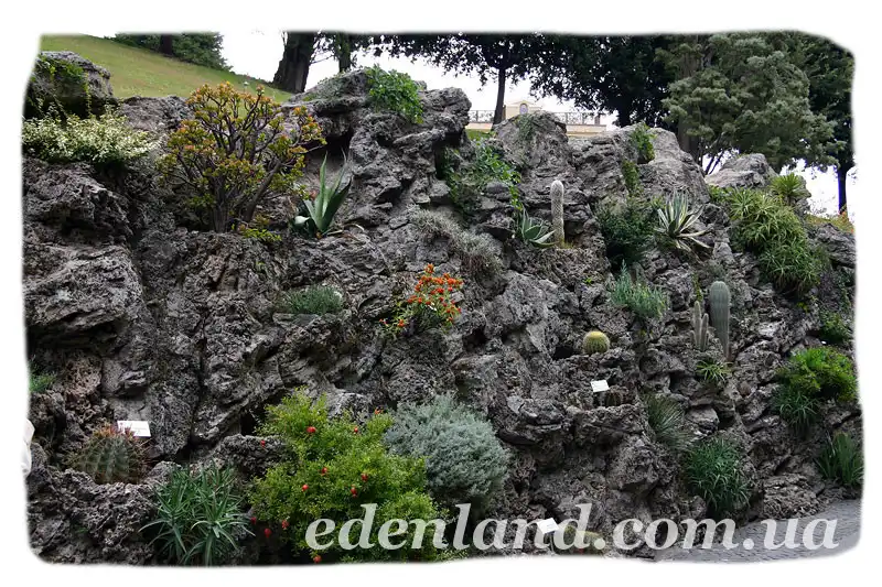 Изображение Красивейшие сады Ватикана