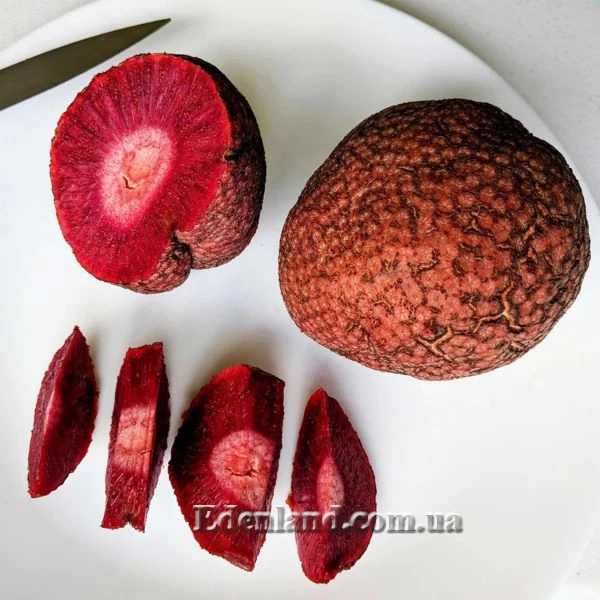 Изображение Науклея широколистная  - Nauclea latifolia