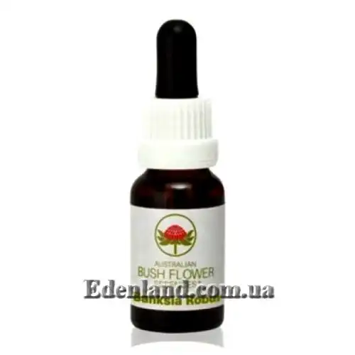 Изображение Банксия мощная - Banksia robur