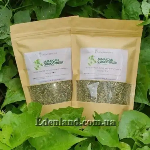 Зображення Міканія Гуако - Mikania guaco 