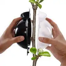 Изображение Контейнер для укоренения растений 