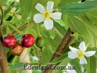 Новое поступление продукции в апреле 2019!