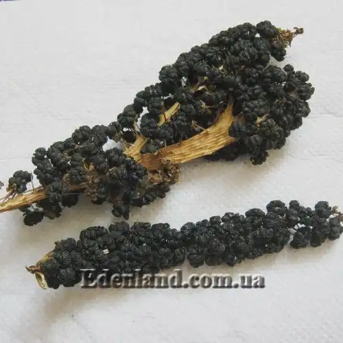 Изображение созревшие плоды