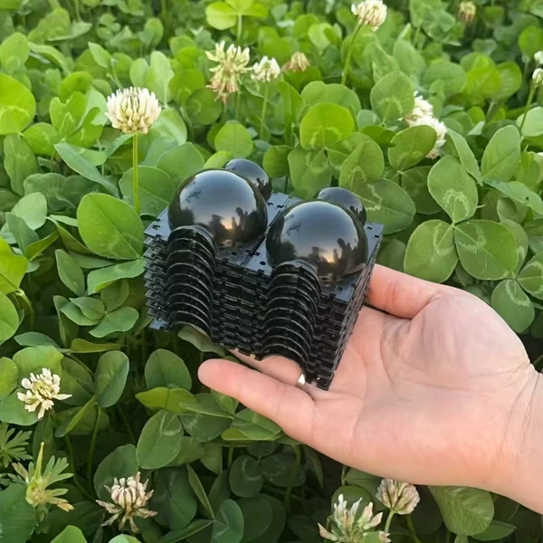 Изображение Контейнер для укоренения растений черный