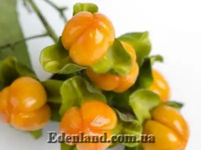 Новое поступление продукции конец МАРТА 2021!