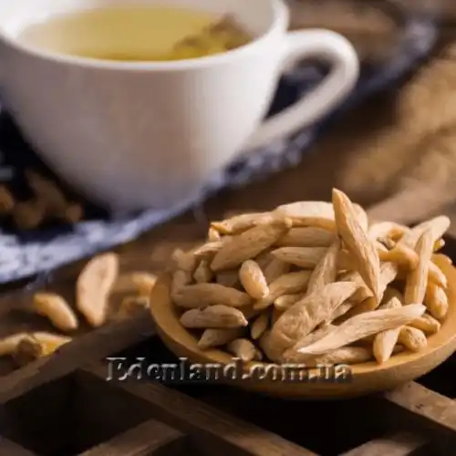 Изображение Офиопогон японский - Ophiopogon japonicus