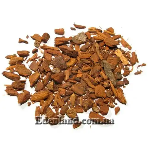 Изображение Цинхона пушистая - Cinchona pubescens