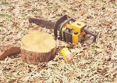 Избавляемся от старых пней на садовом участке