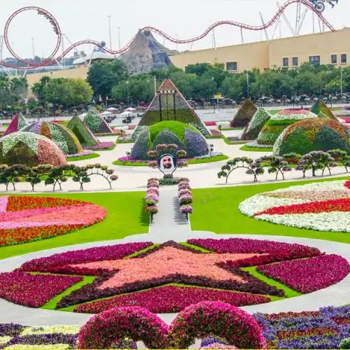Изображение В Дубай открылся самый большой цветочный парк в мире - Dubai Miracle Garden