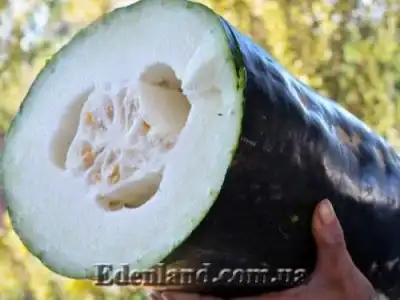 Новое поступление продукции. Декабрь 2018