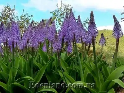 Новое поступление продукции ДЕКАБРЬ 2020!