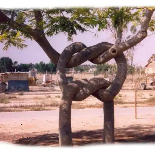 Изображение Цирк деревьев