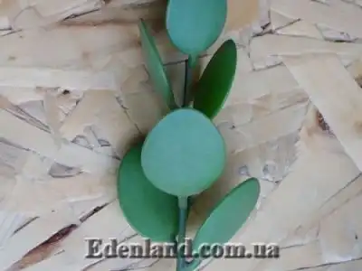 Новое поступление продукции! Лето. Июнь 2019!