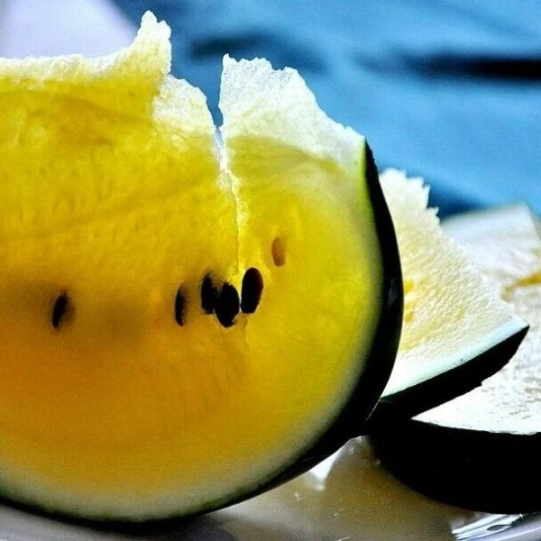 Изображение Арбуз Янусик