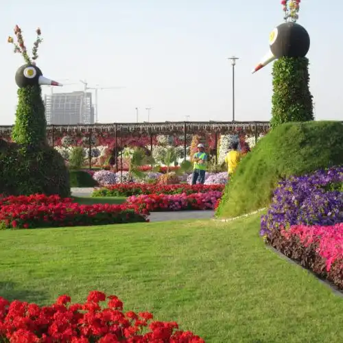 Изображение В Дубай открылся самый большой цветочный парк в мире - Dubai Miracle Garden