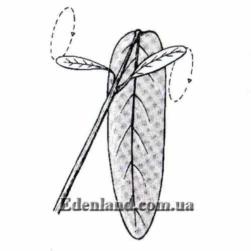 Зображення траєкторія оберту листя