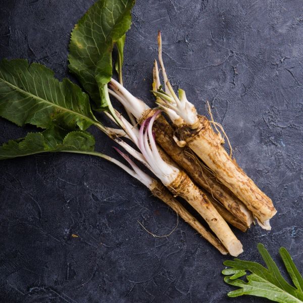 Изображение Armoracia rusticana (Хрен обыкновенный)