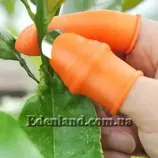 Изображение Секатор на большой палец