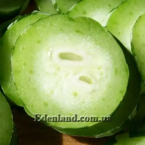 Изображение Трихозант, змеевидный огурец - Trichosanthes cucumerina