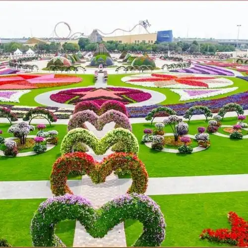 Изображение В Дубай открылся самый большой цветочный парк в мире - Dubai Miracle Garden