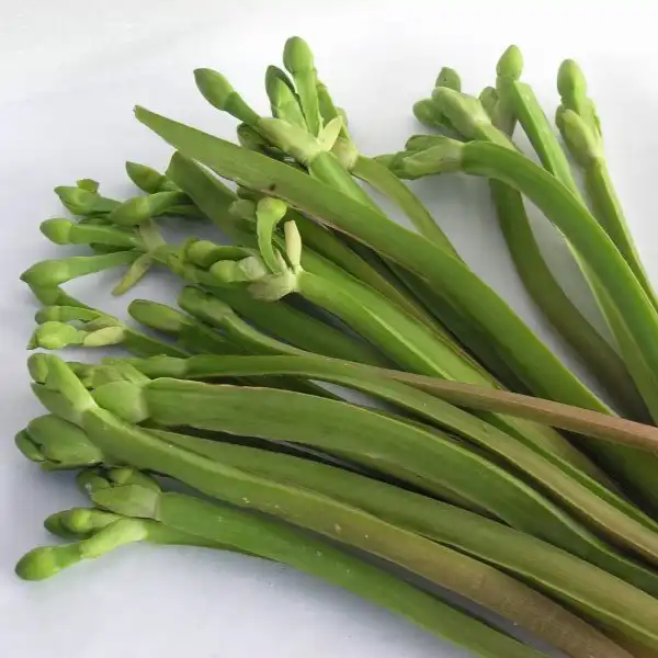 Зображення квітконоси, як овочі, у продажу