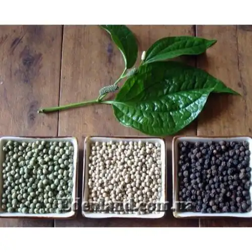 Зображення Перець чорний - Piper nigrum 