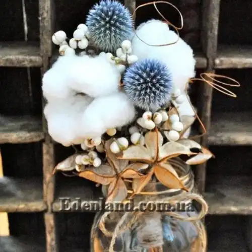 Изображение Госсипиум (хлопчатник) мохнатый - Gossypium hirsutum