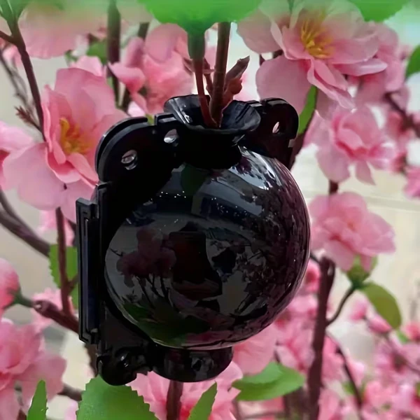 Изображение Контейнер для укоренения растений черный