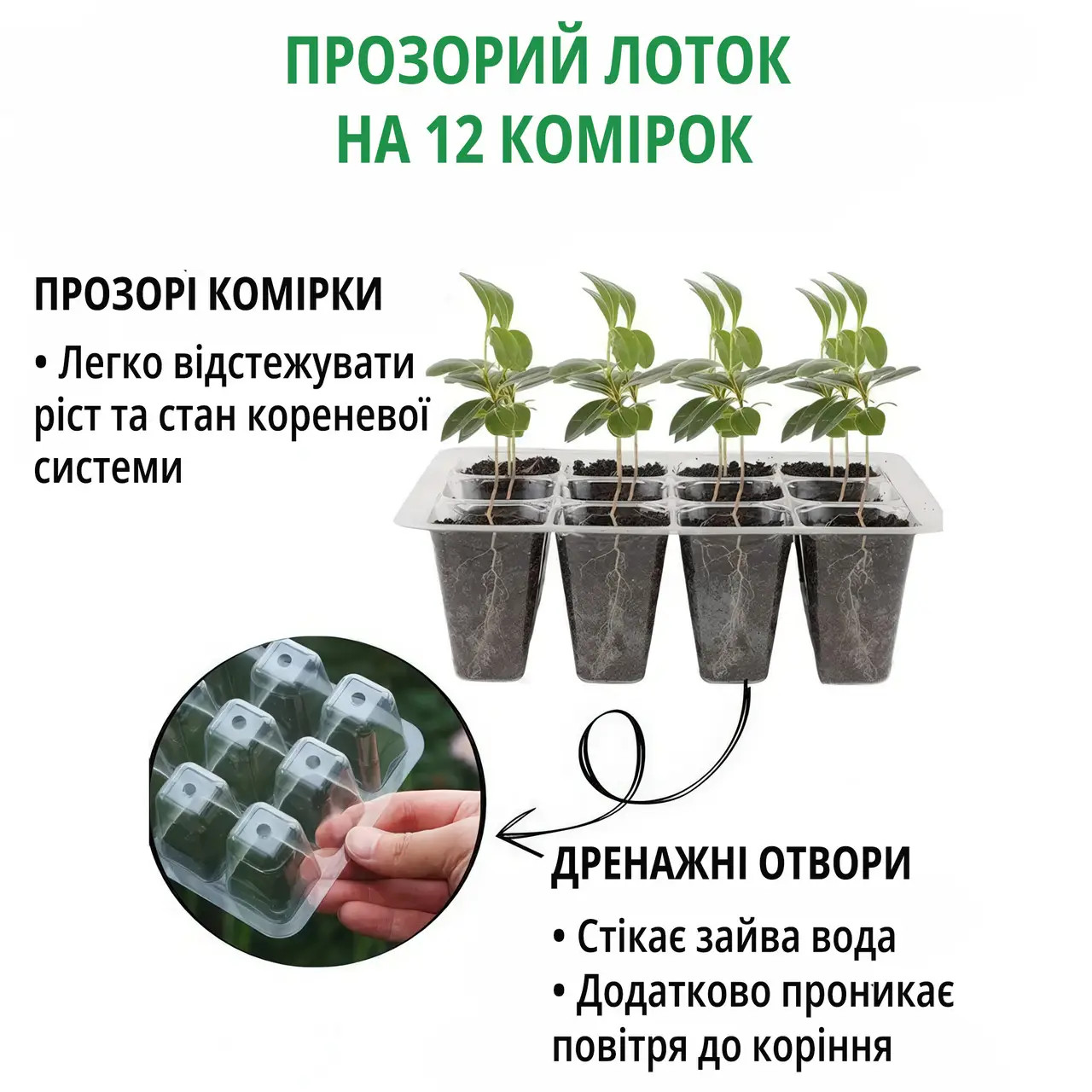 Изображение Мини-тепличка с регулируемой вентиляцией