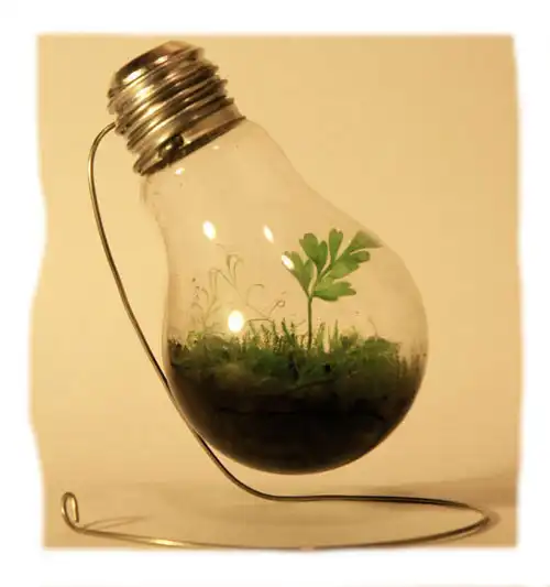 Міні-тераріум своїми руками