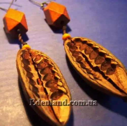 Изображение серьги из плодов