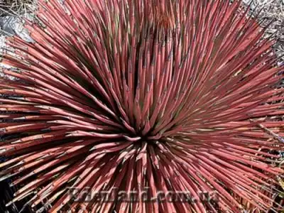 Новое поступление продукции МАЙ 2020!