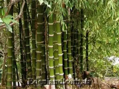 Новое поступление продукции! АВГУСТ 2021