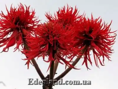 Новое поступление продукции в мае 2019!