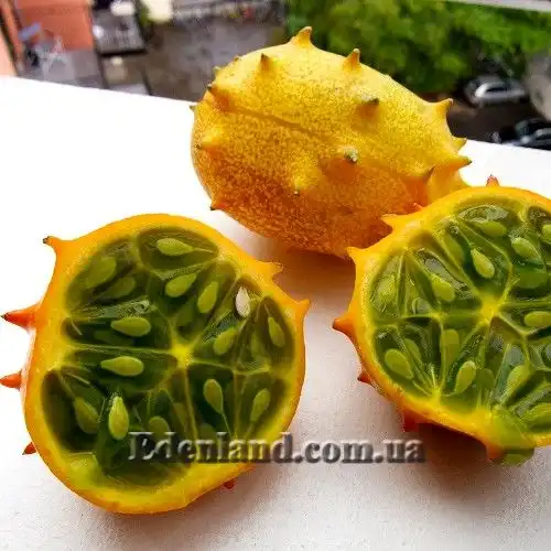 Кивано - Cucumis metuliferus