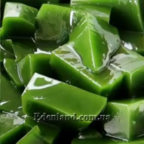 Изображение Тилиакора трёхтычинковая - Tiliacora triandra 