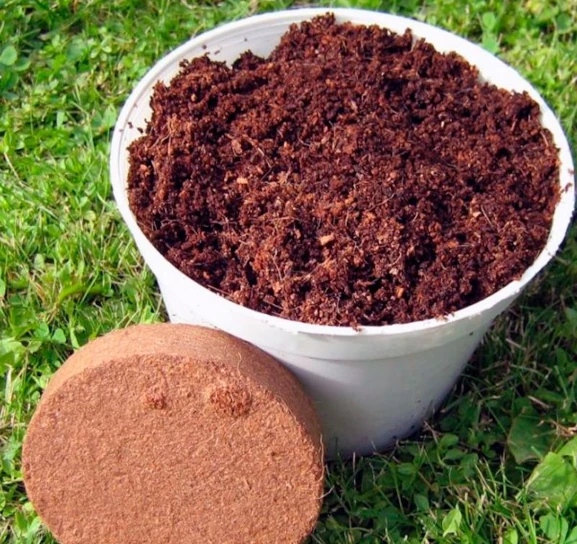 Кокосовый субстрат (прессованный брикет)