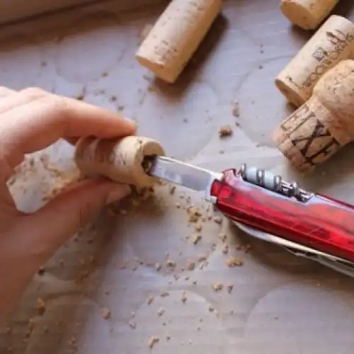 Зображення Квіти на холодильнику