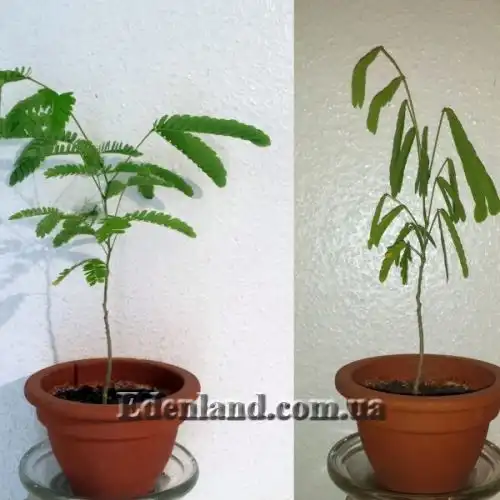 Зображення днем и ночью