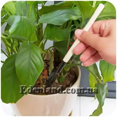 Зображення Набір інструментів для кімнатних рослин (3 предмети)