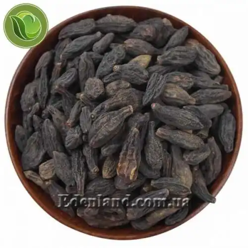 Изображение орехи в околоплоднике