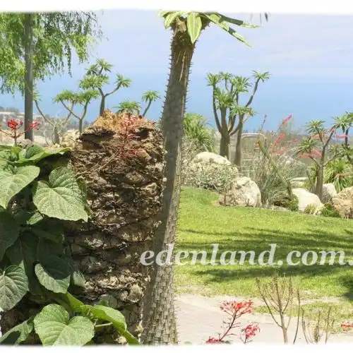 Зображення Ботанічний сад Ейн-Геді