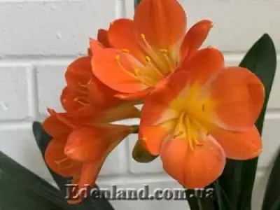 Новое поступление продукции ИЮНЬ-ИЮЛЬ 2021!