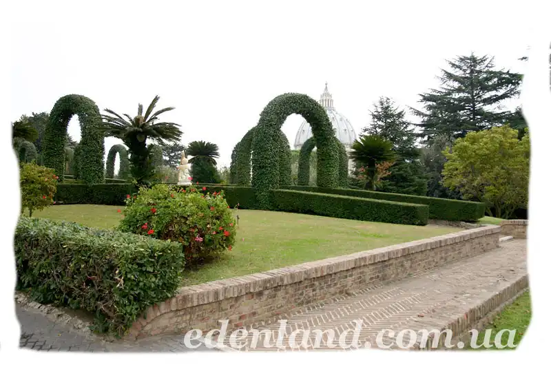 Изображение Красивейшие сады Ватикана