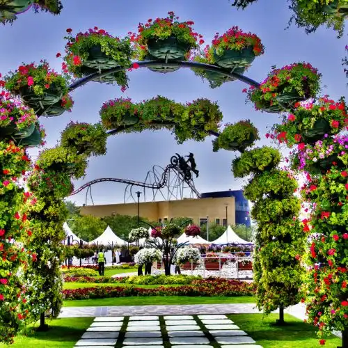 Изображение В Дубай открылся самый большой цветочный парк в мире - Dubai Miracle Garden