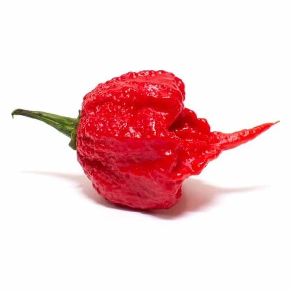 Перець Кароліна Ріпер червоний  - Carolina Reaper Red